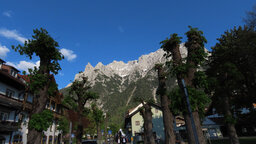 IMG_6209.jpg