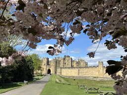 Alnwick Castle
