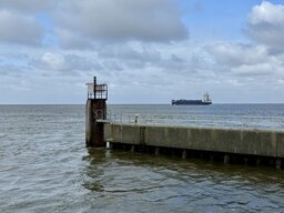 IMG_4677.jpeg