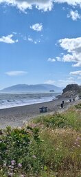 20250504_162730.jpg