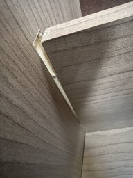 IMG_4419.jpeg