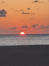 IMG_0910.jpeg