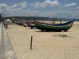 IMG_0901.jpeg