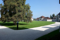 s2.jpg