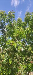 IMG_20250523_100917.jpg