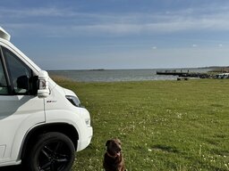 IMG_2205.jpeg