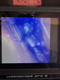 IMG_9668.jpeg