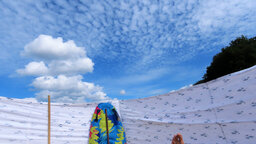 IMG_7679.jpg