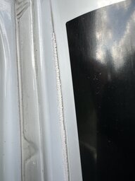 IMG_8205.jpeg