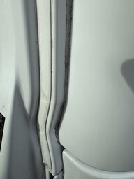IMG_8204.jpeg