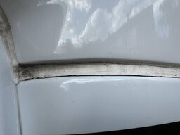 IMG_8206.jpeg