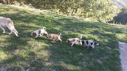 IMG_20250627_131147_610.jpg