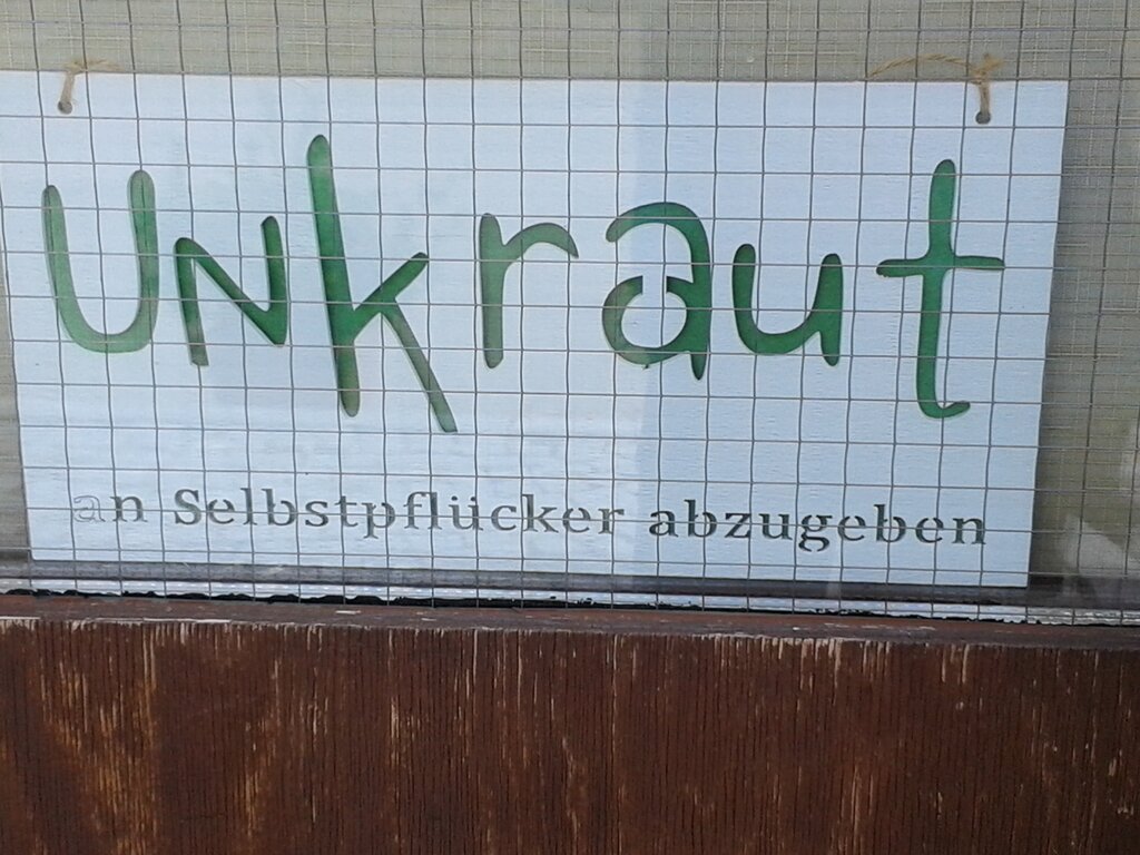 Bild