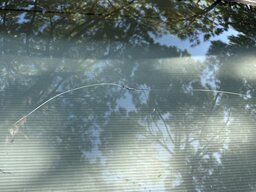 IMG_0052.jpeg