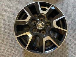 IMG_6608.jpeg