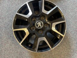 IMG_6607.jpeg