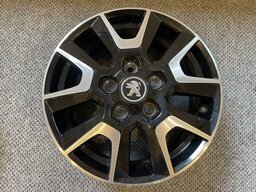 IMG_6606.jpeg