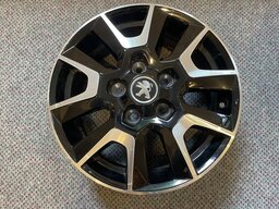 IMG_6605.jpeg
