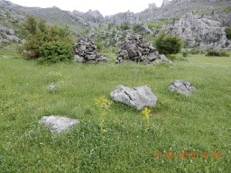 DSCN2292.JPG