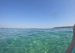 IMG_7168.jpeg