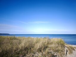 IMG_20250716_183319.jpg