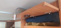IMG_20250718_091139.jpg