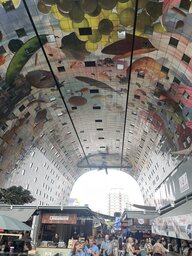 IMG_7688.jpeg