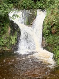 IMG_6131.jpeg