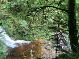 IMG_6132.jpeg