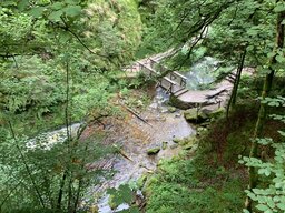 IMG_6136.jpeg