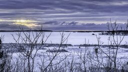 IMG_2840.JPG