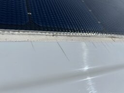 IMG_1515.jpeg
