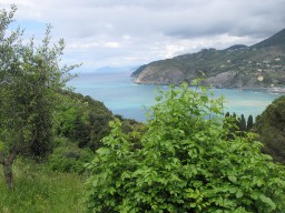 IMG_6103.jpg