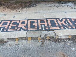 IMG_20220515_153704.jpg