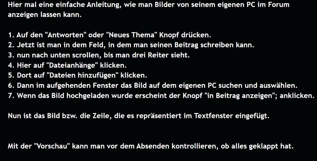 Bild