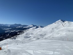 IMG_1504.jpeg