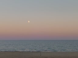 IMG_20250905_200647514.jpg