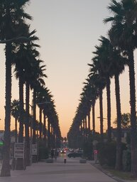 IMG_20250905_202025324.jpg