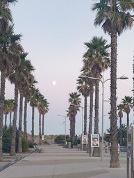 IMG_20250905_202117070.jpg
