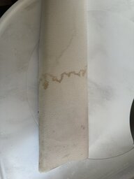 IMG_3843.jpeg
