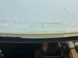 IMG_5566.jpeg
