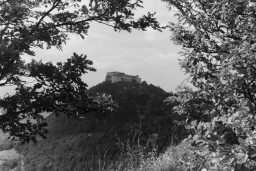 PICT0215.JPG