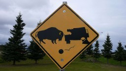 Alaska_2009_003532.jpg