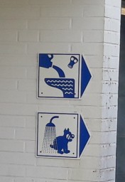 20190408_133843.jpg