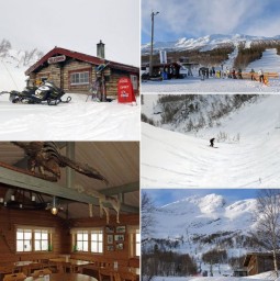 ski.JPG