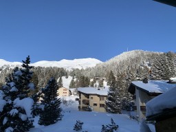 IMG_1536.jpeg