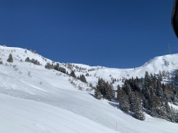 IMG_1540.jpeg