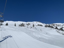 IMG_1541.jpeg