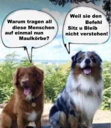 Bildschirmfoto 2021-03-25 um 06.43.17.png