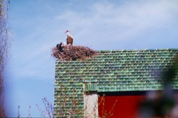 Bild015_Neg.Nr.15.jpg